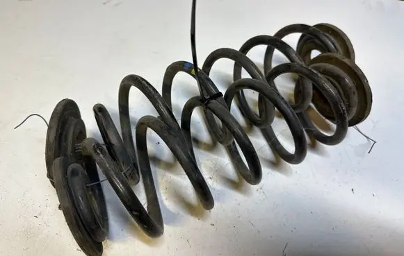 Skoda Octavia Mk3 (5E) Rear coil spring