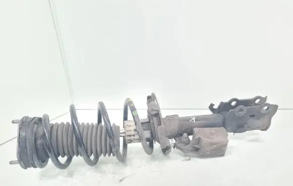 Ford Fiesta Front shock absorber with coil spring C1BC18K001BH