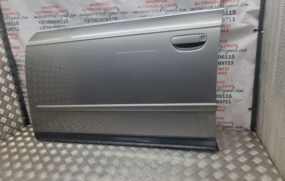 Audi A4 S4 B7 8E 8H Front door