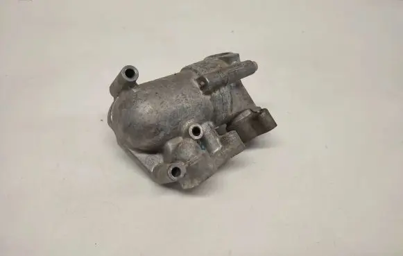 Thermostat/thermostat housing