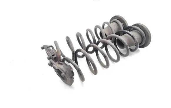 Rear coil spring