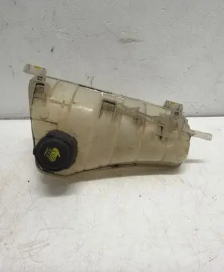 Renault Kangoo II Coolant expansion tank/reservoir 8200455786
