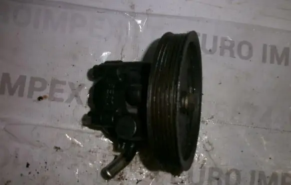 Nissan Terrano Power steering pump