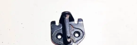 Rear door lower hinge