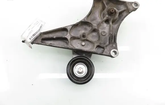 Nissan Pathfinder R51 Timing belt/chain tensioner 5632697