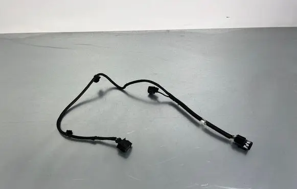 Hyundai Santa Fe Other wiring loom