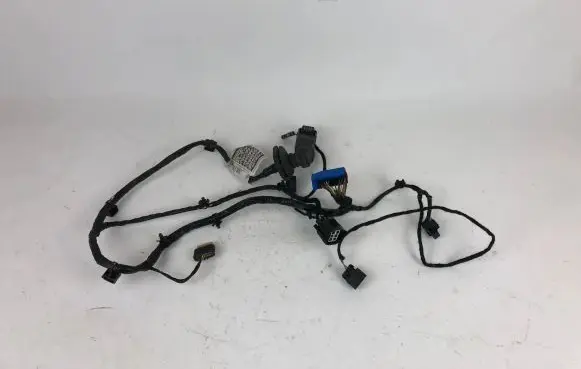 Rear door wiring loom
