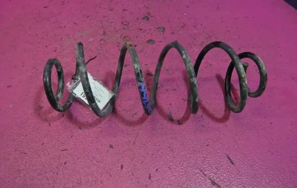 Rear coil spring
