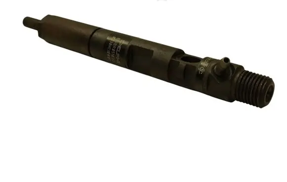 Renault Megane III Fuel injector EJBR05102D