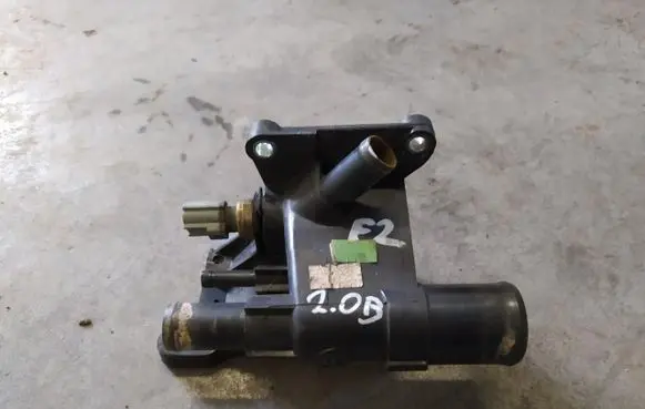 Ford Focus Engine coolant pipe/hose