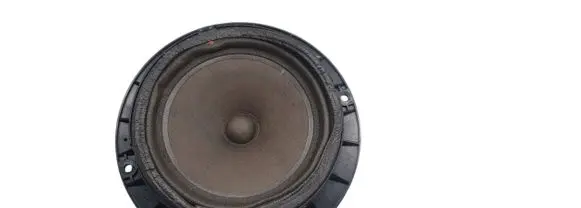 Hyundai i30 Front door speaker 963302r000