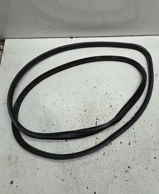 BMW X6 E71 Rubber seal front door window/glass 