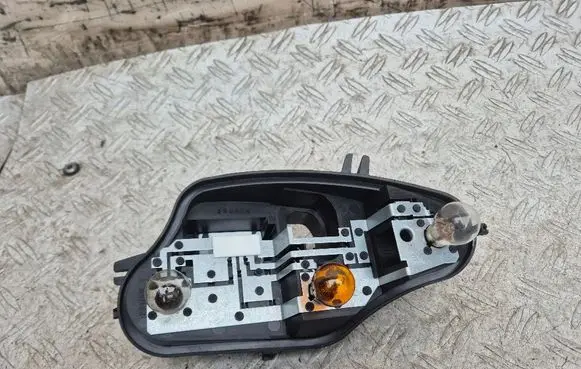 Citroen C3 Tail light bulb cover holder