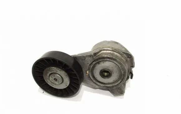 Saab 9-5 Alternator belt tensioner 4898755