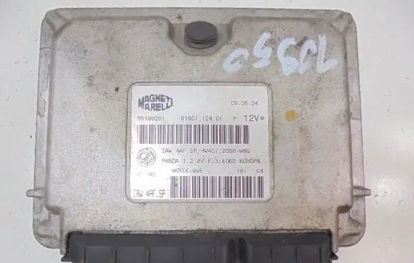 Engine control unit/module ECU