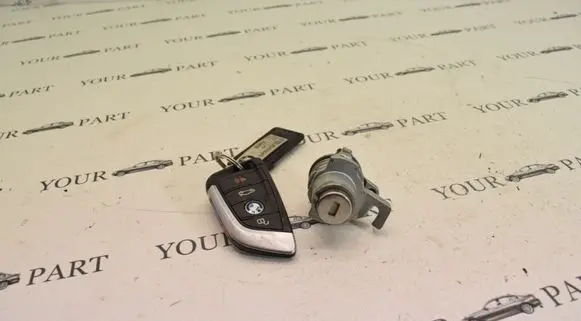 BMW X1 F48 F49 Ignition key/card 7394
