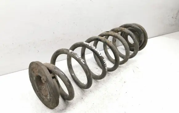 Rear coil spring