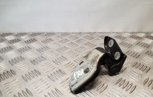 Peugeot Boxer Front door lower hinge 