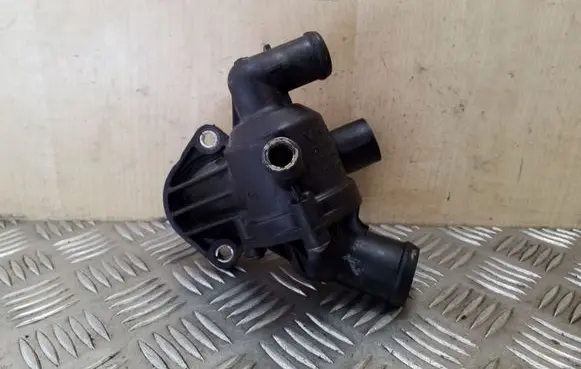 Thermostat/thermostat housing