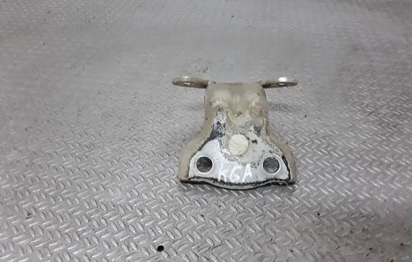Chevrolet Captiva Rear door lower hinge