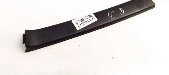 Renault Laguna III Other rear door trim element 822880002R