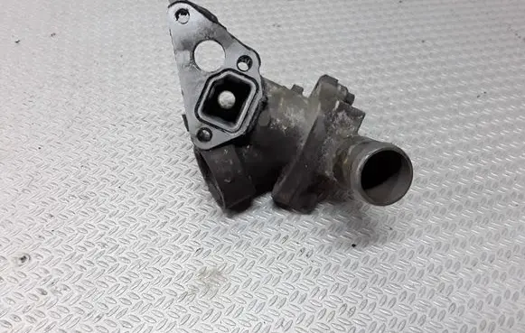 Thermostat/thermostat housing