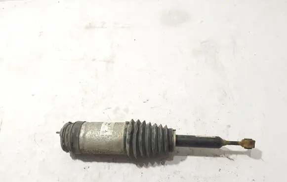 Tesla Model X Rear shock absorber with coil spring 102746100G