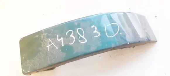 Rear/tail light trim molding