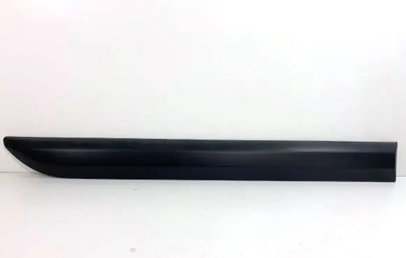 Rear door trim (molding)