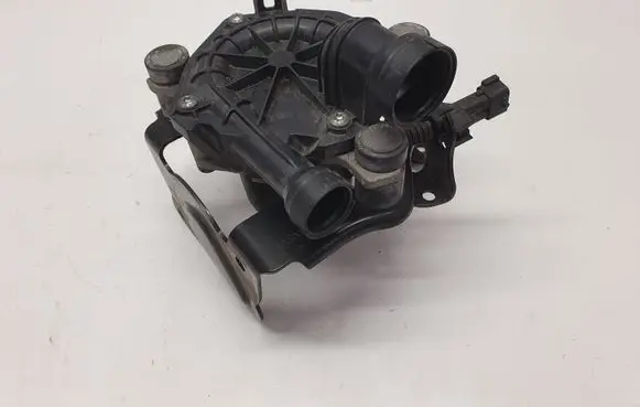 Chevrolet Volt I Secondary air pump 55573924