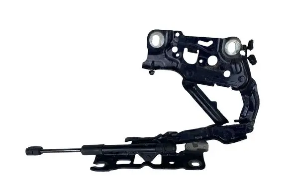 BMW 5 G30 G31 G38 Engine bonnet/hood hinges 7347407