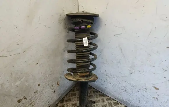 Land Rover Discovery Sport Front shock absorber with coil spring FK7218045AB
