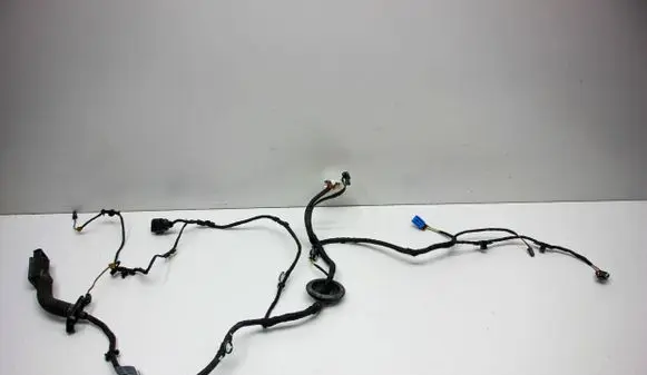 Audi A5 Front door wiring loom 8W8971029G