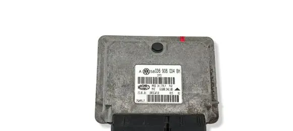Volkswagen Golf IV Engine control unit/module 036906034BH 6160054208 1BR3CWF1B