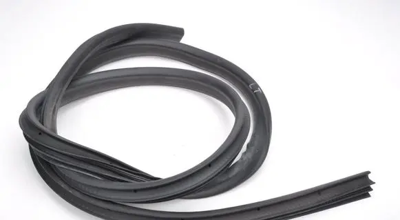 Ford Ecosport Front door rubber seal 