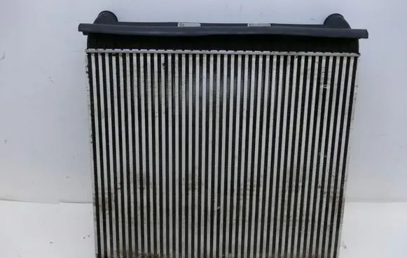 Land Rover Range Rover Sport L320 Intercooler radiator AH328T000EA