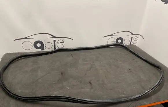 BMW 2 F46 Rear door rubber seal (on body) 7316818