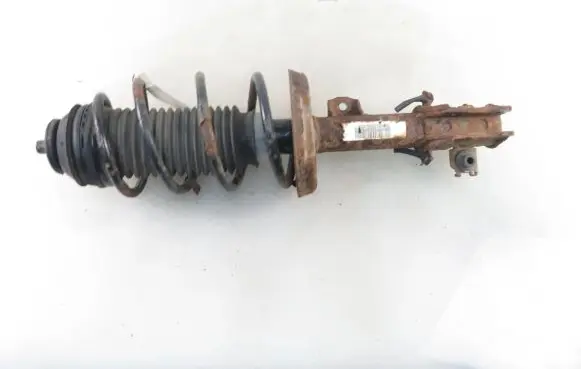 Fiat Punto (199) Front shock absorber with coil spring