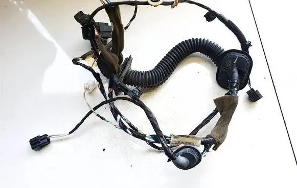 Renault Zoe Other wiring loom 242108129r