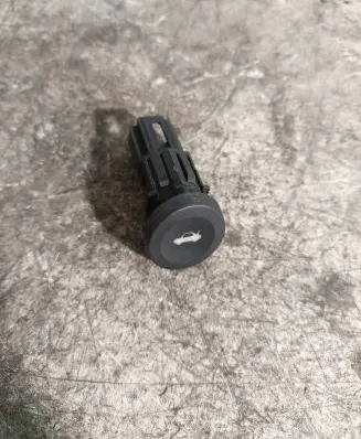 Ford Fiesta Tailgate opening switch 