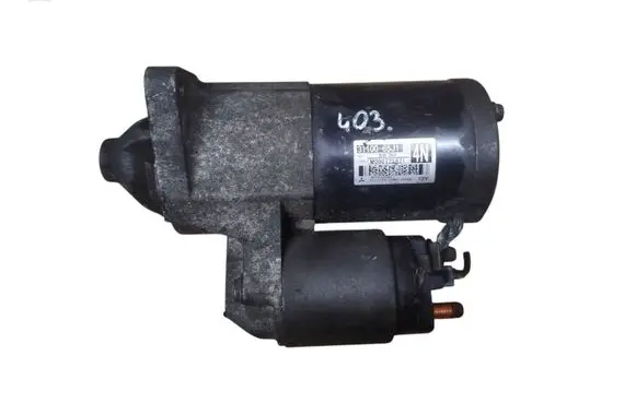 Suzuki Grand Vitara II Starter motor 3110065J1 M000T21671