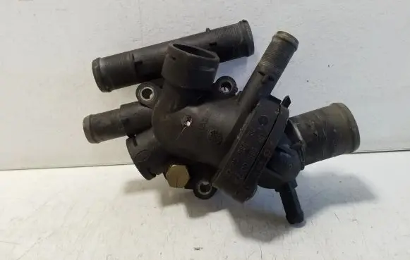 Thermostat/thermostat housing