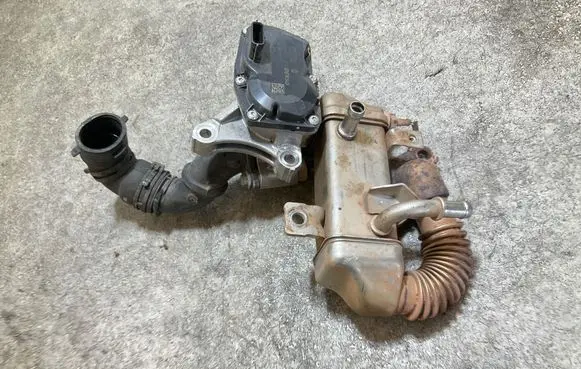 EGR valve