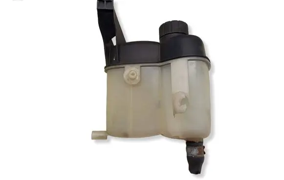 Mercedes-Benz A W169 Coolant expansion tank/reservoir 1695000049