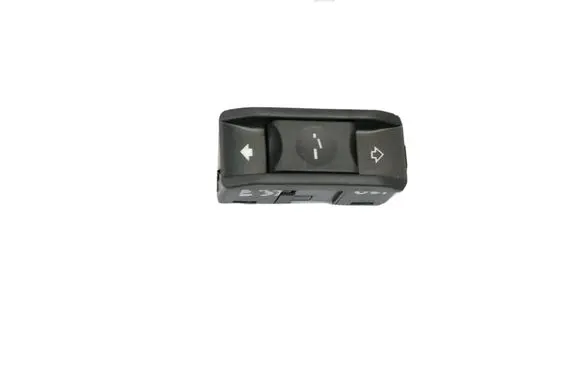 BMW 5 E39 Sunroof switch 6907288