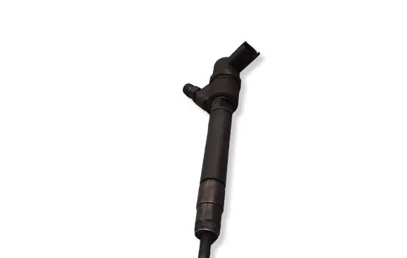 Volvo S80 Fuel injector 0445110298 30777526