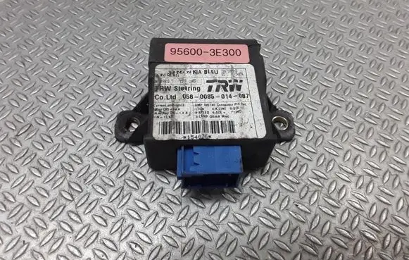 KIA Sorento Other control units/modules 956003E300