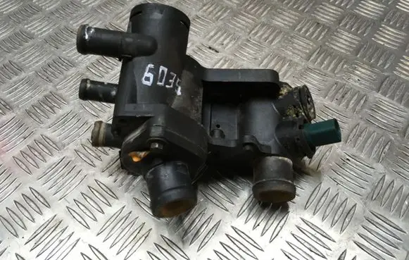 Thermostat/thermostat housing