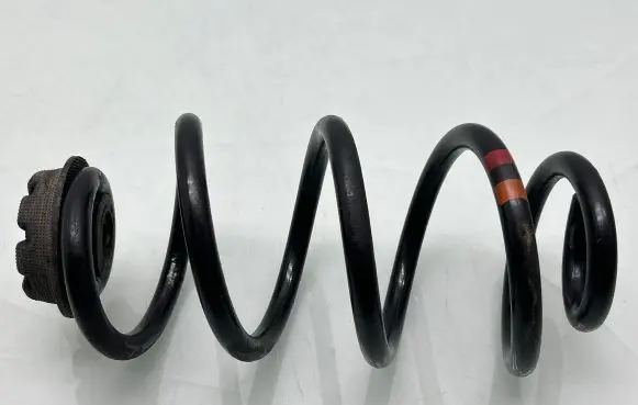 Nissan Qashqai Rear coil spring 55034JD004