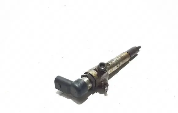 Renault Megane III Fuel injector 166008052R